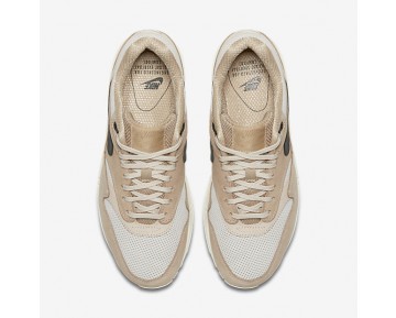 Chaussure Nike Air Max 1 Pinnacle Pour Femme Lifestyle Champignon/Beige Clair/Flocons D'Avoine/Noir_NO. 839608-201